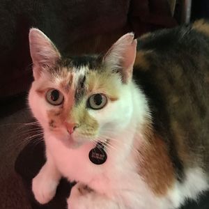 Meet your Posher, Stacy